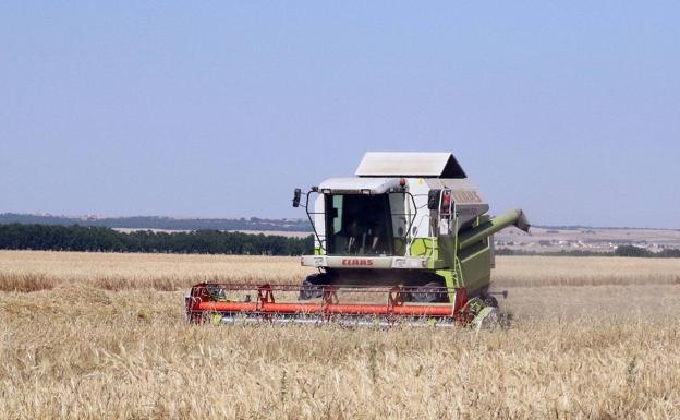 Solo el 17% de la superficie agraria útil de la región está en manos de mujeres