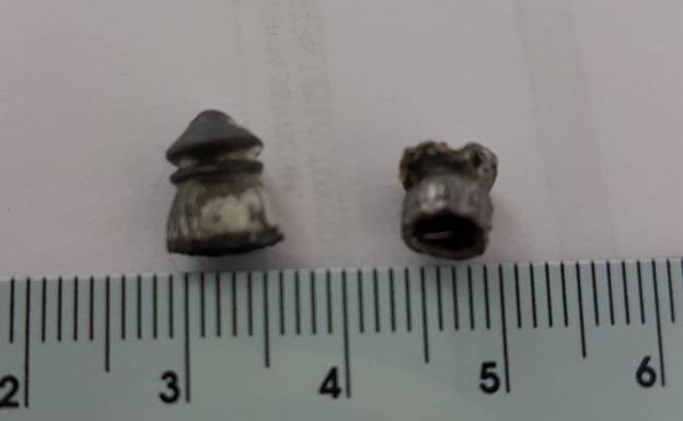 Denuncian disparos con perdigones a una gata en Barruelo de Santullán, Palencia