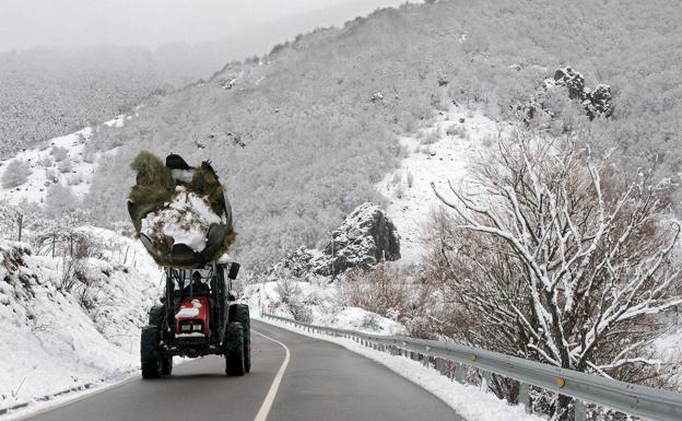 Cuatro tramos de Castilla y León, con cadenas por la nieve