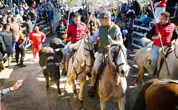 Denuncia contra un vecino de Madrid por una agresión al coordinador de los encierros de Miróbriga