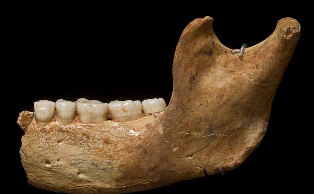 La prueba genética humana más antigua, en el diente del 'Homo antecessor'