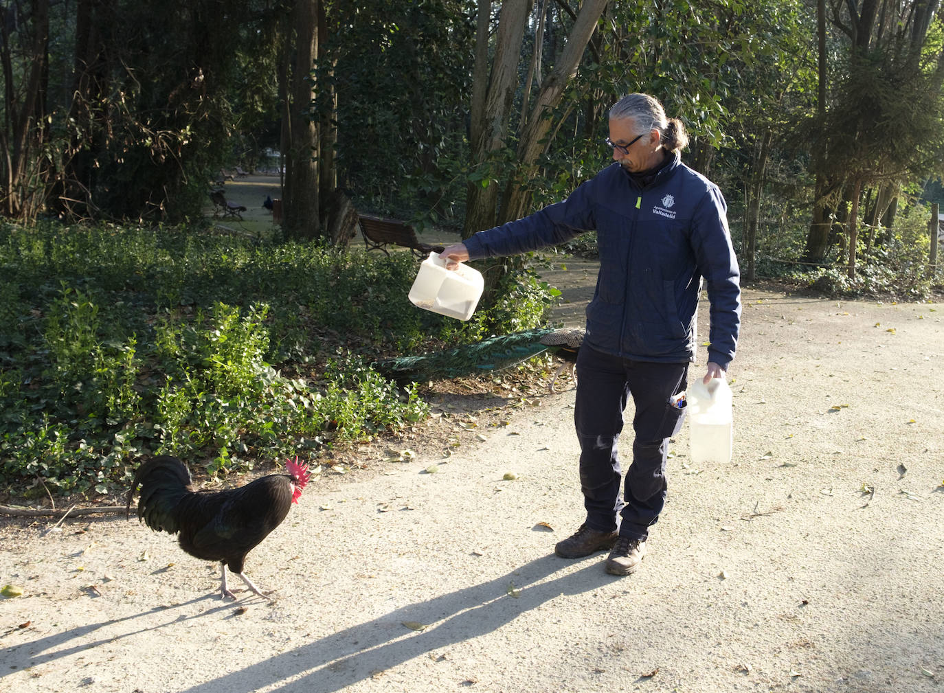 Así da de comer Luis Magdaleno a los animales del Campo Grande