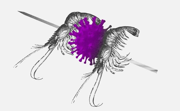 ¿Quién piensa en mañana?