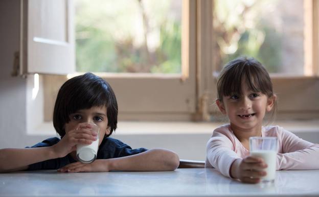 Campaña solidaria de emergencia de Fundación 'La Caixa' y CaixaBank en favor de los Bancos de Alimentos