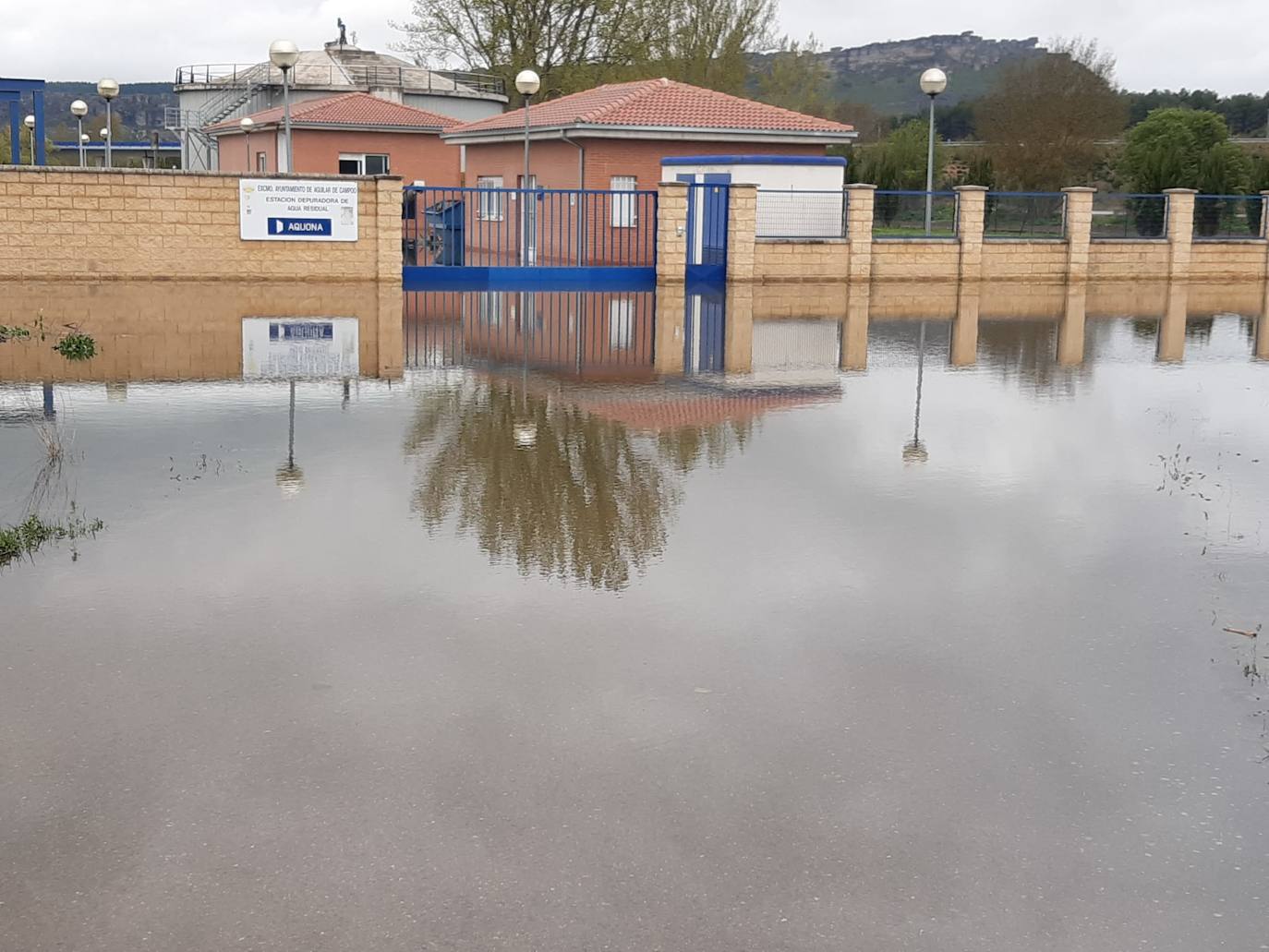 La crecida del río Pisuerga espanta a patos y ocas