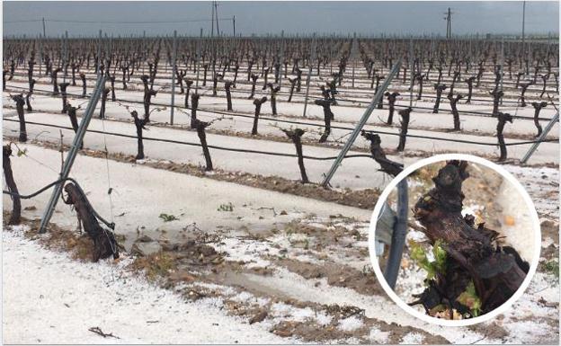 El Ayuntamiento de Bobadilla solicitará ayudas de emergencia a la Junta para paliar los daños de la granizada del fin del semana