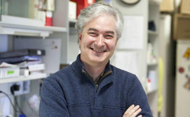 Investigadores de Salamanca, Albacete y Madrid desarrollan una nueva terapia para uno de los cánceres de mama más agresivos