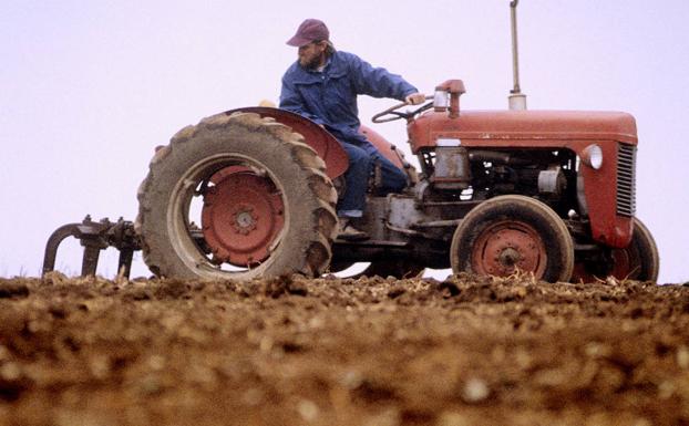 El Gobierno prorroga hasta el 15 de junio el plazo para pedir las ayudas de la PAC