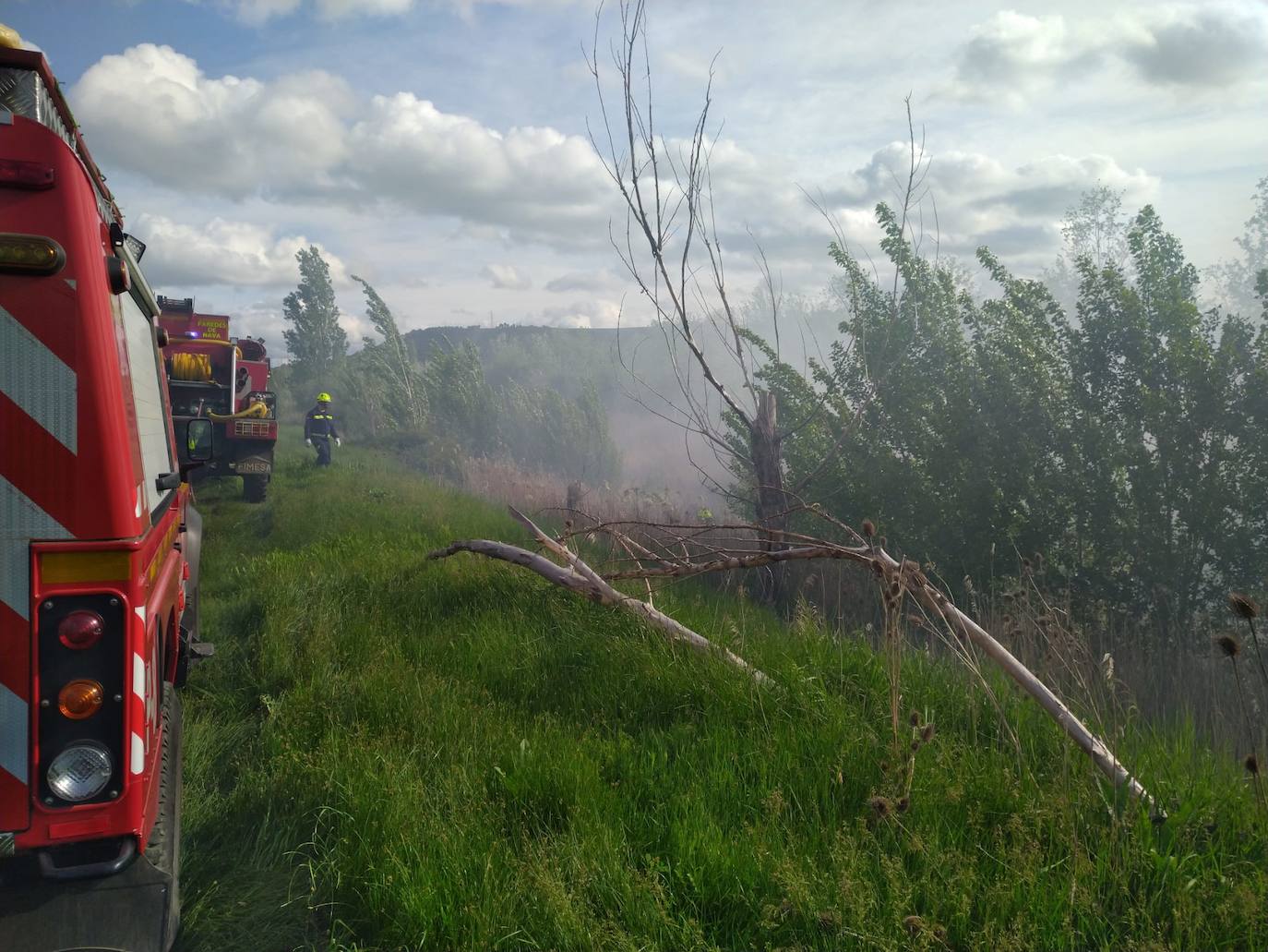 Los incendios de pelusas comienzan a complicar el trabajo a los bomberos en Palencia