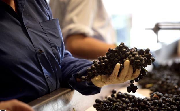 Nexus&Frontaura, la diferencia está en los detalles y el cariño