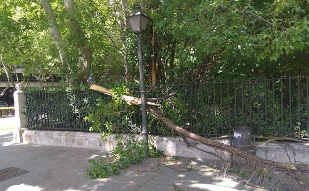 Valladolid, Palencia, Salamanca, Zamora, Ávila y León, en aviso amarillo por viento