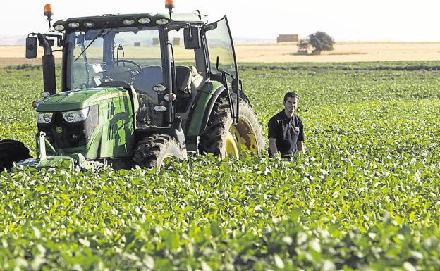 La Junta y la comunidad de Regantes de Arabayona en Salamanca invierten 3,6 millones en obras de drenaje