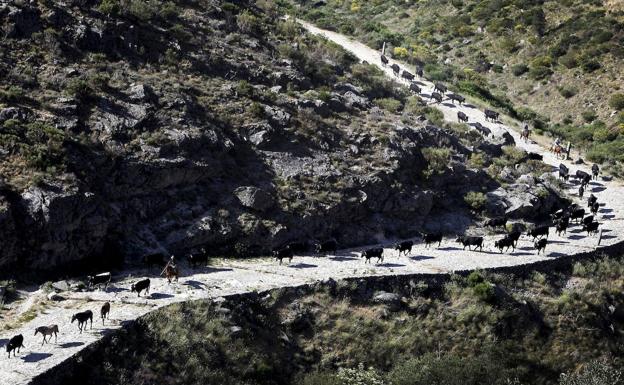 Castilla y León registra siete de las diez mínimas más frías del país