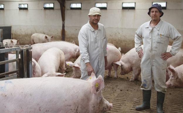 Carlos Baeza: «El sector agropecuario siempre ha estado, está y estará al pie del cañón»