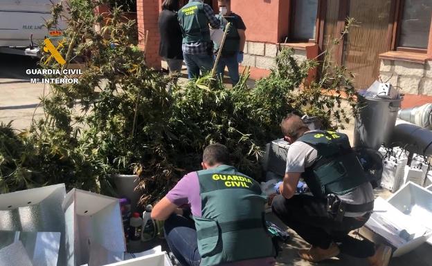 Detenido en El Tiemblo un matrimonio que poseía un laboratorio clandestino de marihuana