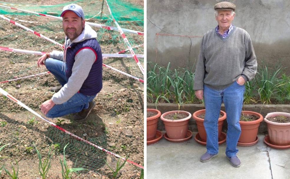 Un semillero conjunto que hace más agradable la cuarentena