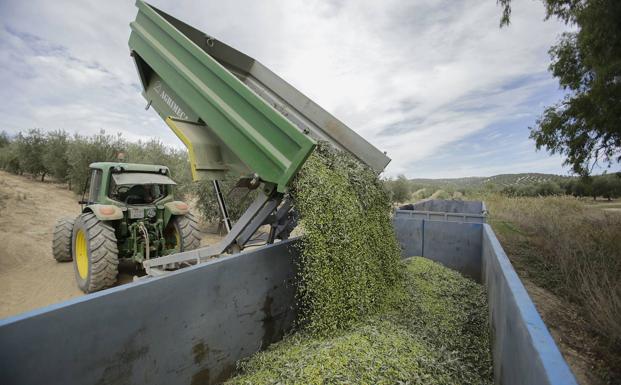 Escasas ayudas al sector agrario