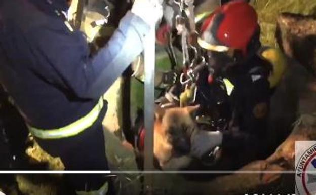 Los Bomberos de Valladolid rescatan a un perro que llevaba una semana en un pozo