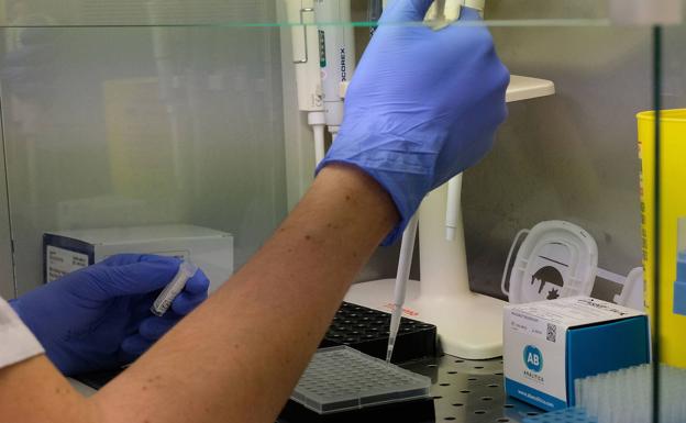 Asociaciones de investigadores universitarios de Castilla y León piden a la Junta prorrogar los contratos