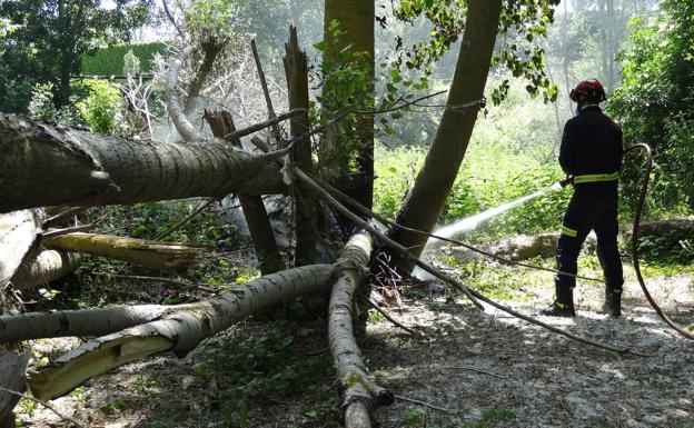 Los Bomberos sofocan tres incendios de pelusas en menos de 24 horas en Valladolid