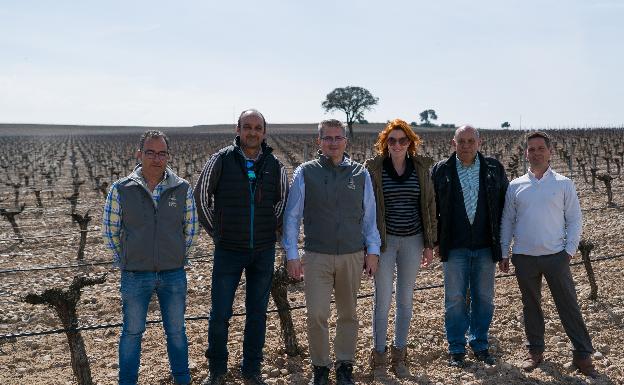 Arqueoenología e I+D en Bodega Cuatro Rayas para aumentar la longevidad del verdejo