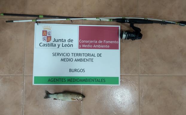 Los agentes medioambientales pillan a una persona pescando sin licencia en la localidad burgalesa de Hortigüela