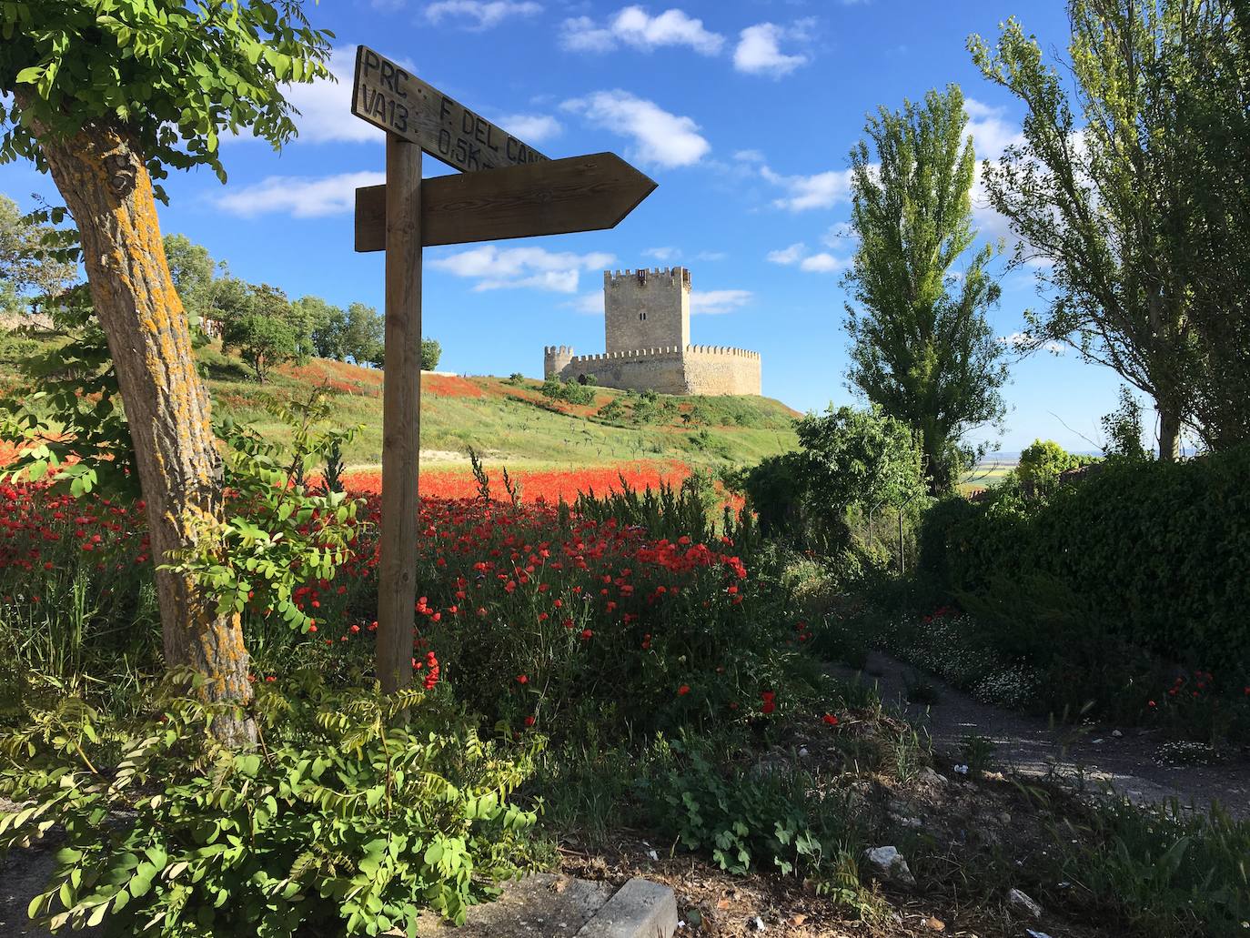 Las rutas de castillos y vino, gancho para atraer turismo de Madrid y Castilla y León