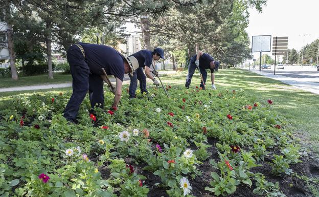 La primavera del coronavirus se llena de color en los jardines de Valladolid