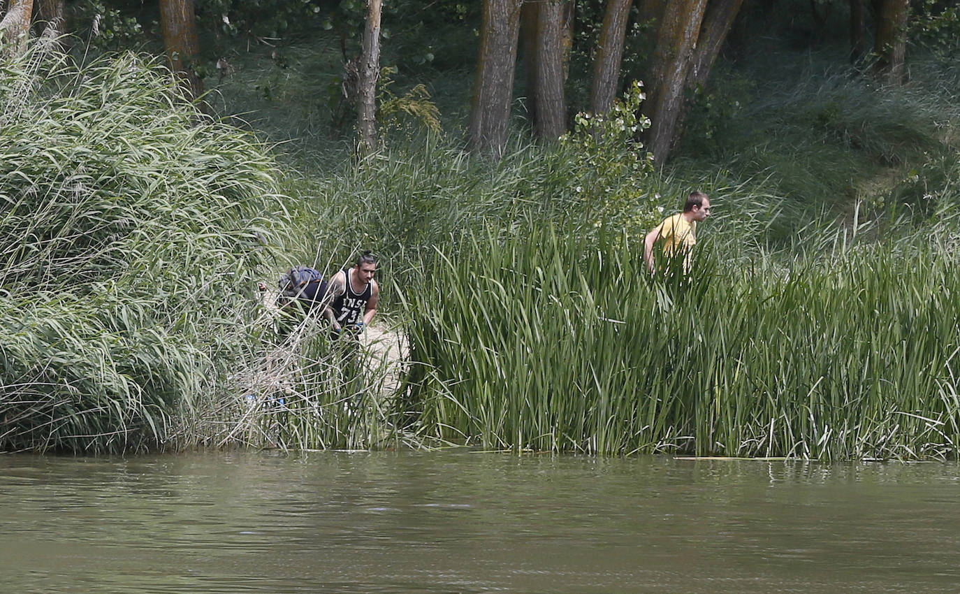 Labores de búsqueda del reptil en la confluencia de los ríos Pisuerga y Duero