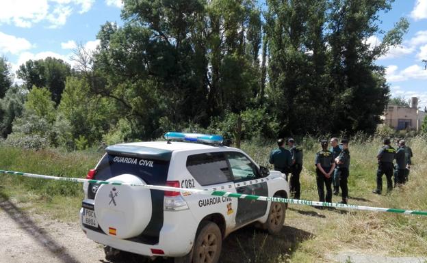 «No es previsible que ataque a los humanos», dice un especialista sobre el cocodrilo que se busca en Valladolid