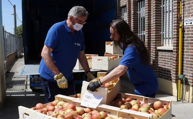 Más de 55.000 personas de Castilla y León se beneficiarán del reparto de alimentos del programa de ayuda del Ministerio