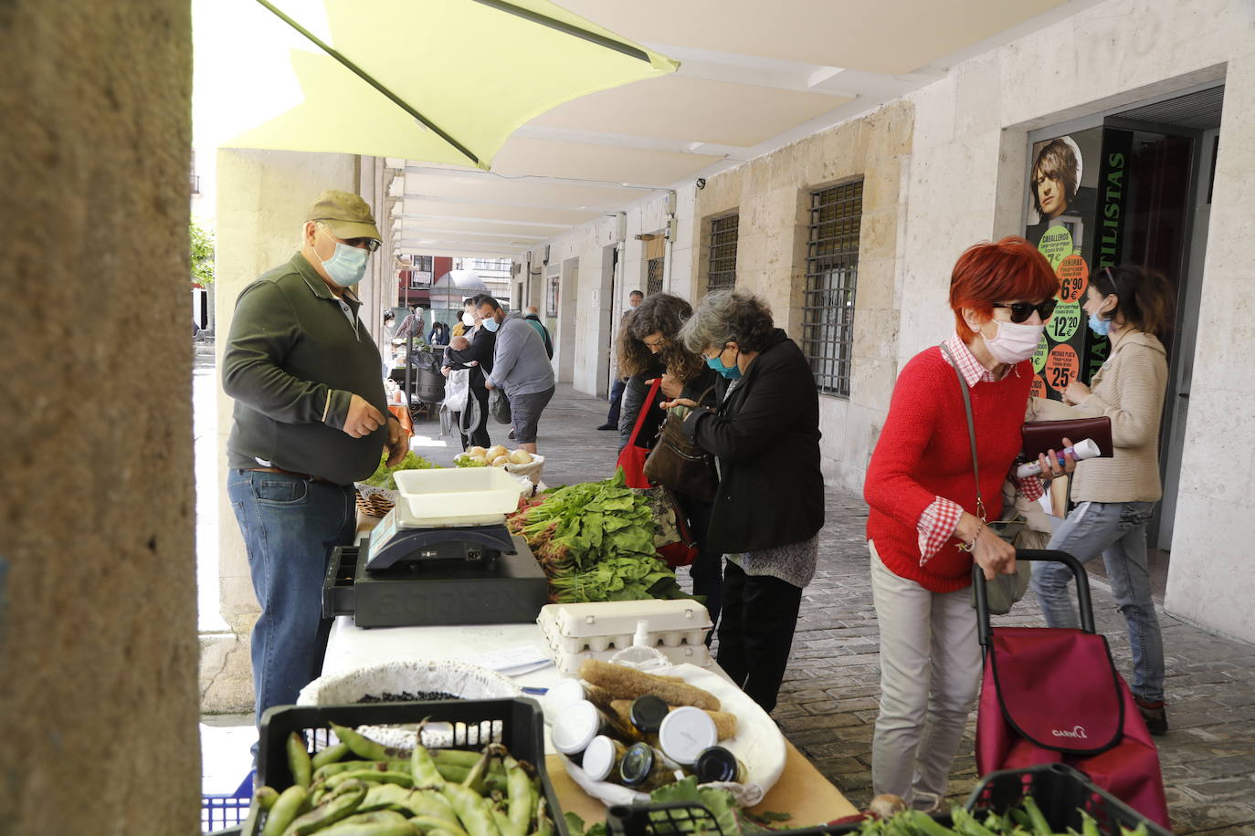 El mercado ecológico de Palencia vuelve a la Plaza Mayor