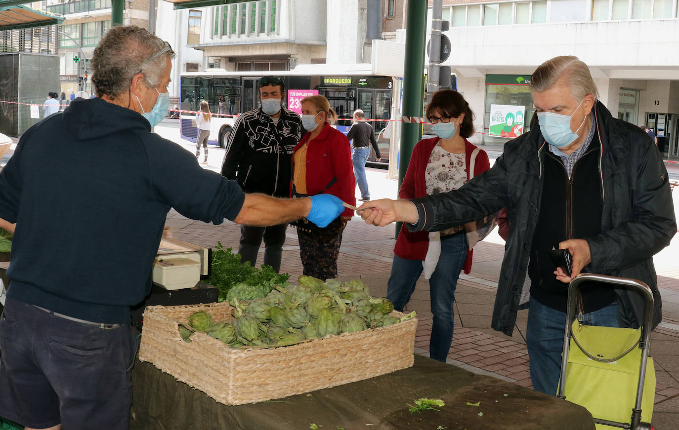 El ecomercado de la Plaza España retoma su actividad