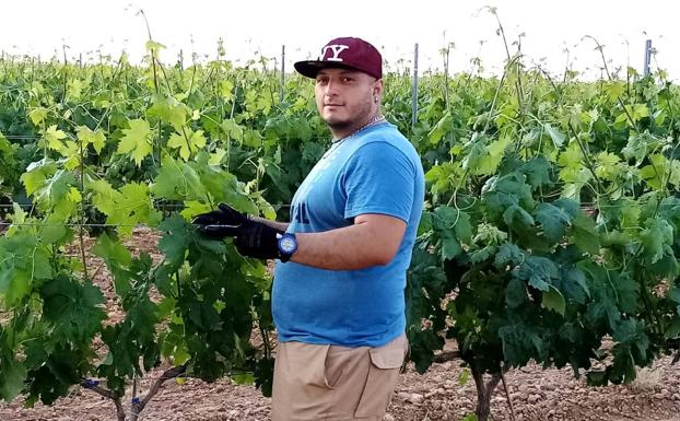 La tasa de abandono de los temporeros locales que no han logrado «adaptarse al campo» supera el 30%