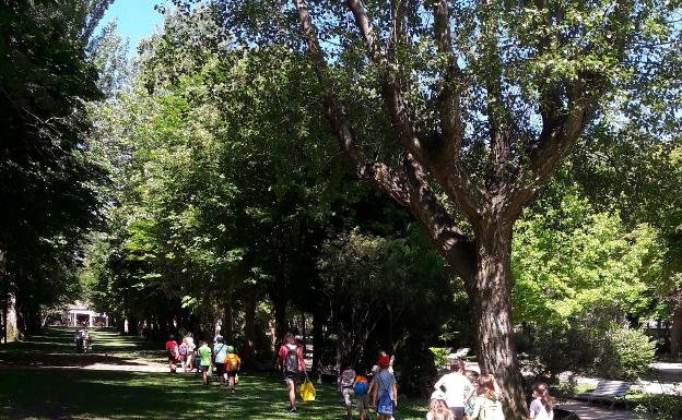 El programa de conciliación 'Agenda de Verano' arranca hoy con los turnos de La Peonza y la Ludoteca Ambiental completos