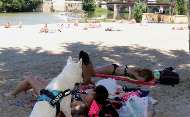 Un junio atípico deja menos lluvia de lo normal y se despide con alerta amarilla por calor en Valladolid