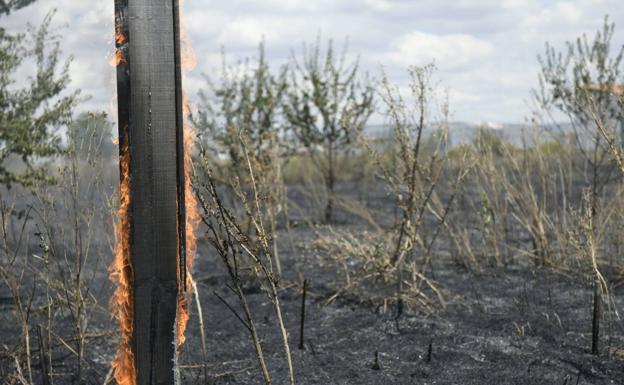 Cortada al tráfico la VA-20 hacia Santovenia al reactivarse el incendio de la avenida de Santander
