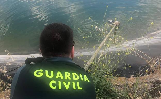 La Guardia Civil de Palencia rescata a una cría de cigüeña que se ahogaba en una balsa de riego