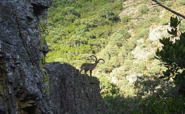 Promover la cooperación y promocionar los valores del territorio, entre los objetivos marcados