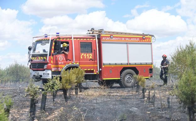 El fuego arrasó 8,2 hectáreas y dañó más de 9.000 árboles en el Bosque de los Sueños
