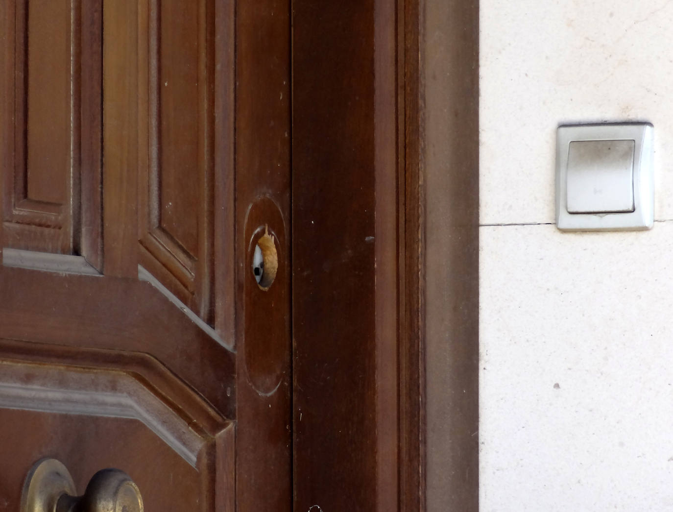 Vecinos de Parquesol se movilizan contra los okupas