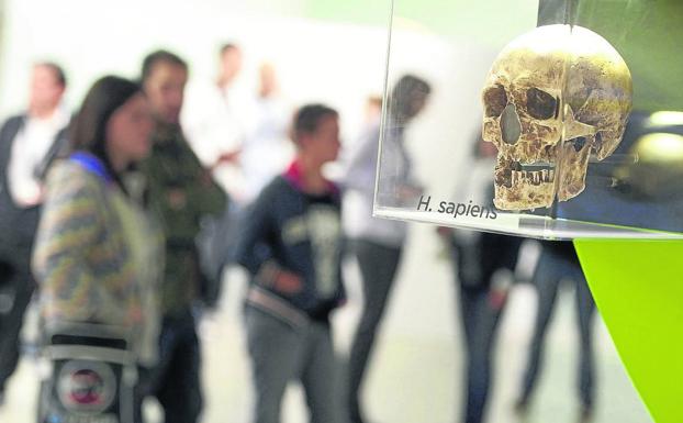 Una mirada al futuro desde los tesoros de una humanidad balbuciente