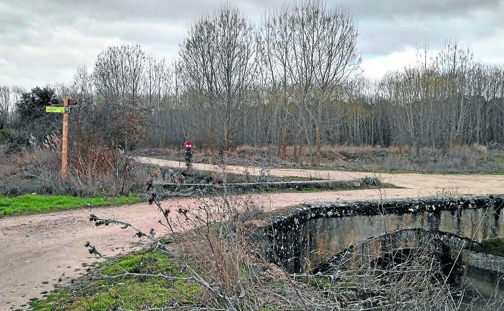 La Cueva de Roa, una ruta entre viñedos y cañadas