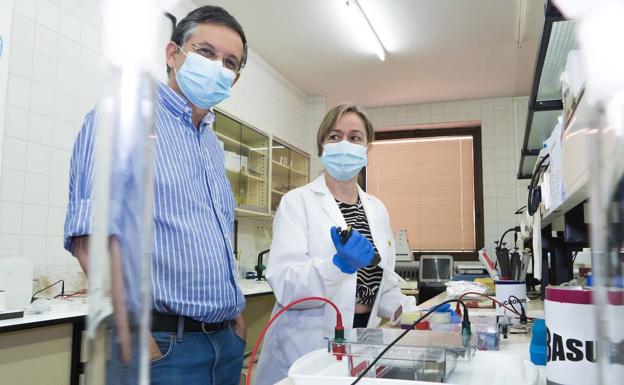 Subvención de 90.000 euros para investigar sobre el cáncer de colon hereditario en Salamanca