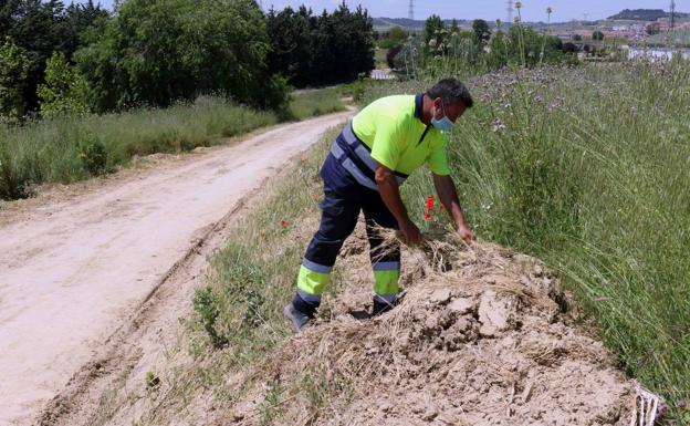 Los nuevos peones municipales superarán pruebas físicas para acreditar si son «aptos»