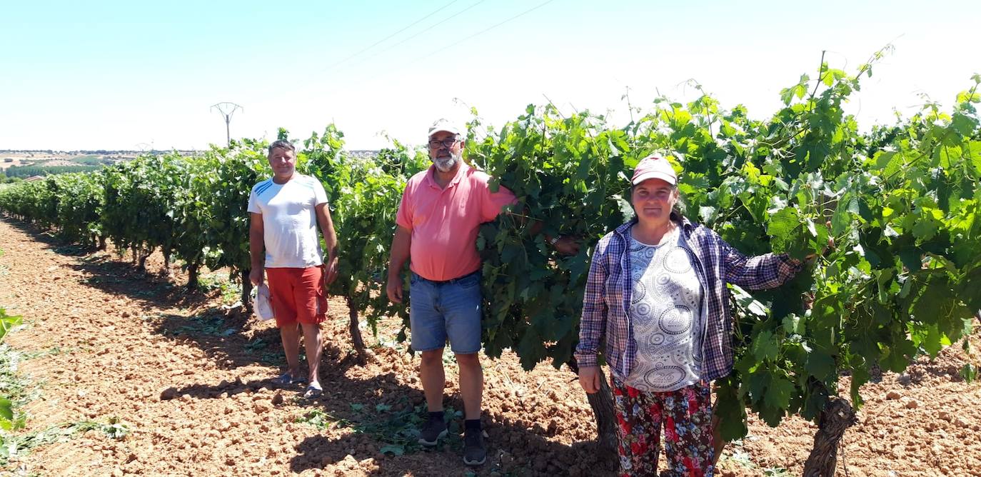 «Sin los extranjeros sería imposible atender el campo»