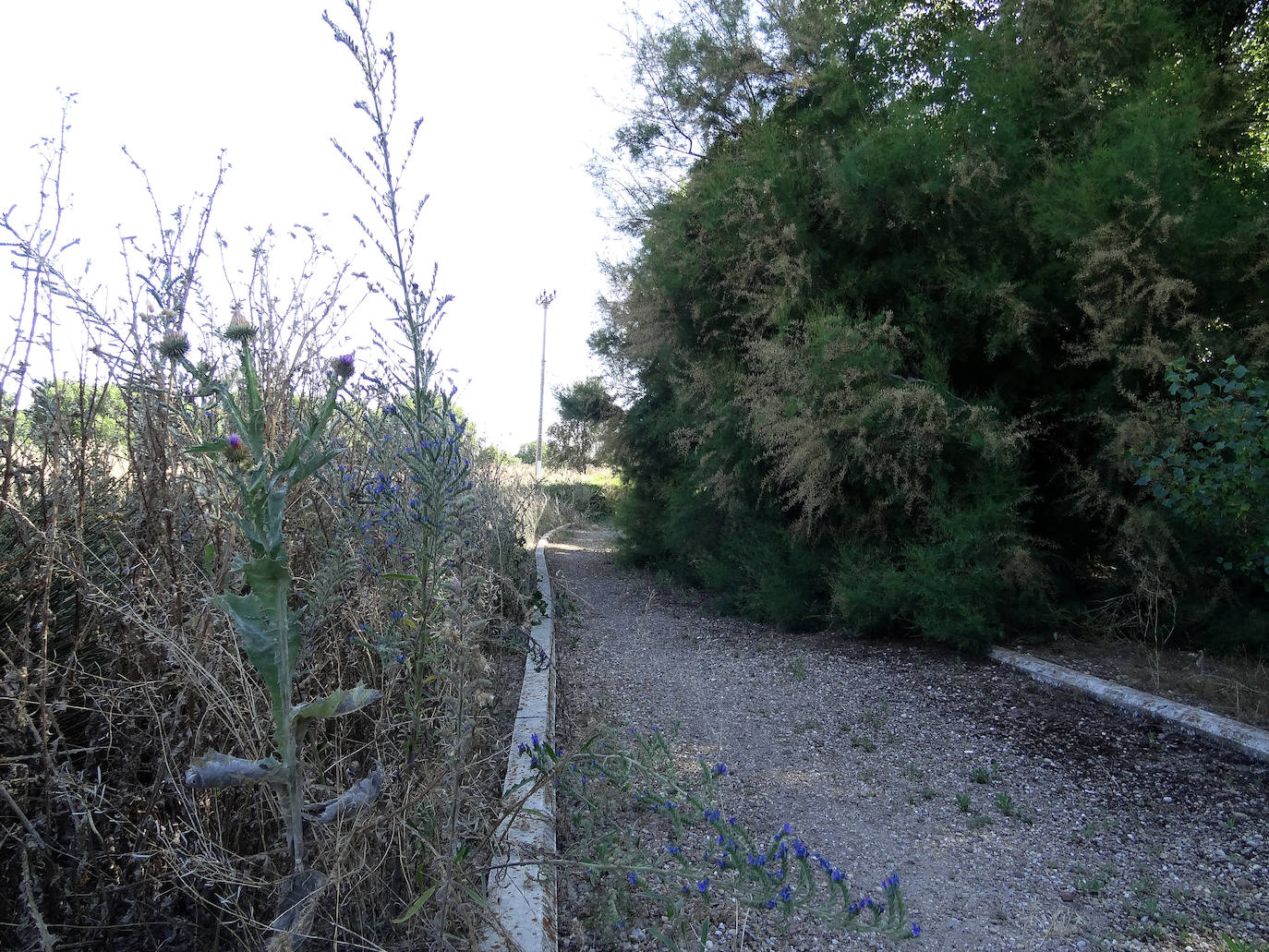 Estado de la senda de las Arcas Reales