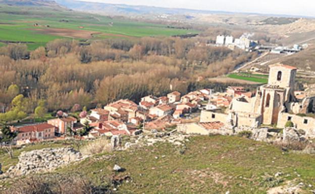 Cerezo del Río Tirón: Variedad