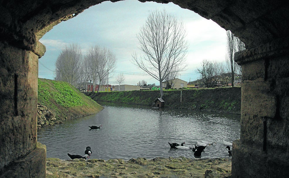 Venialbo: El atractivo de un pueblo vitivinícola