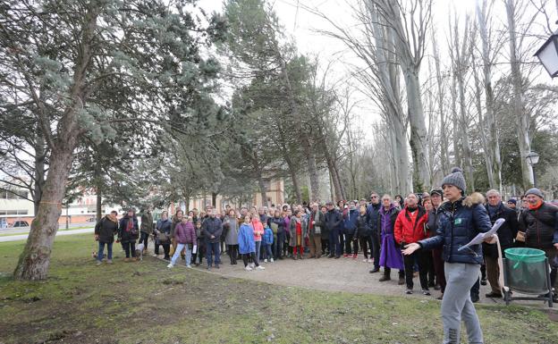 El juzgado suspende de forma cautelar la tala de árboles de Los Jardinillos de Palencia